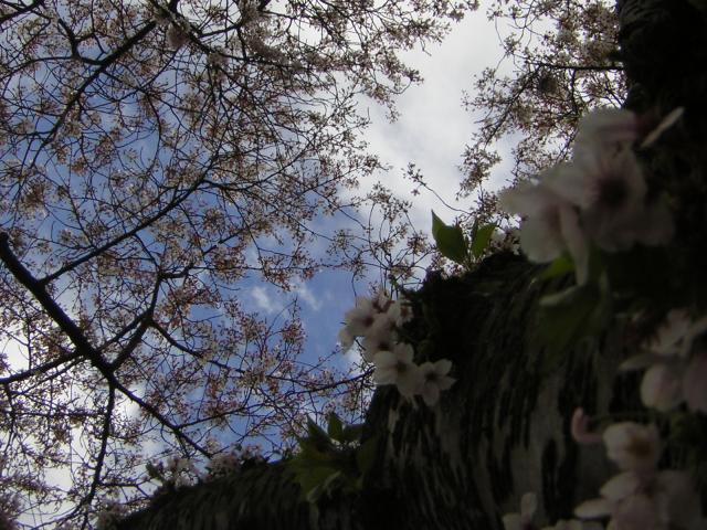 DSCN1374.jpg