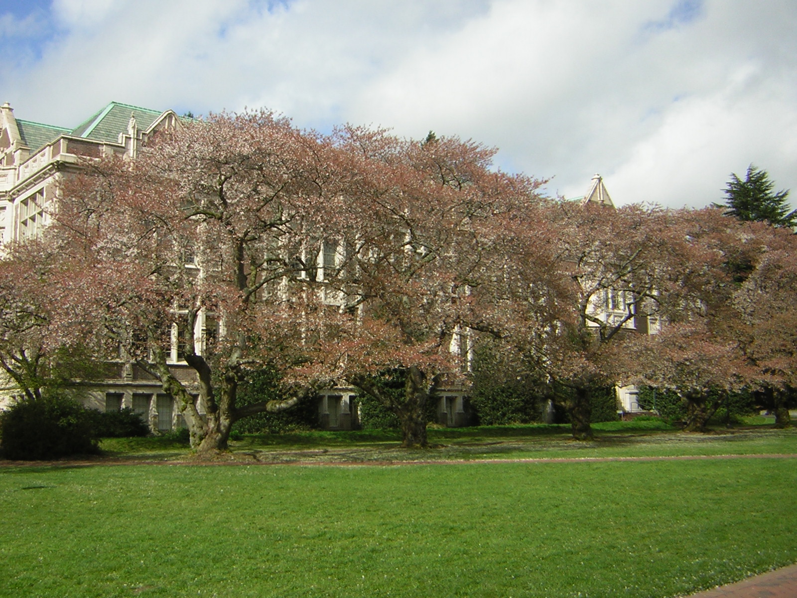 DSCN1376.jpg