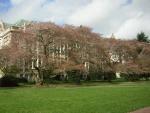 DSCN1376.jpg