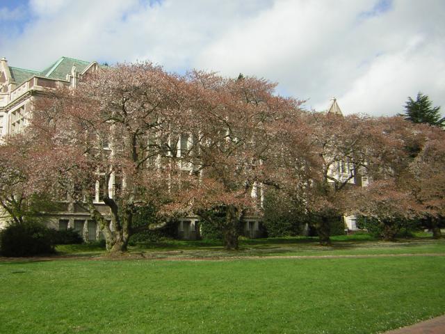 DSCN1376.jpg