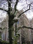 DSCN1377.jpg