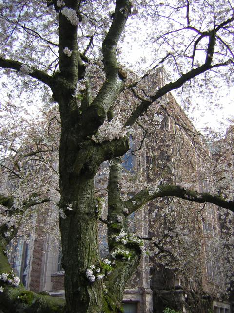 DSCN1377.jpg