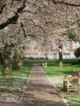 DSCN1379.jpg