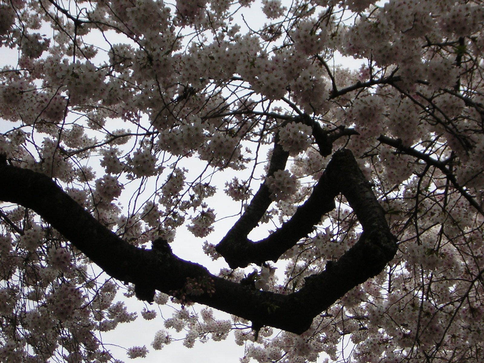 DSCN3039.jpg