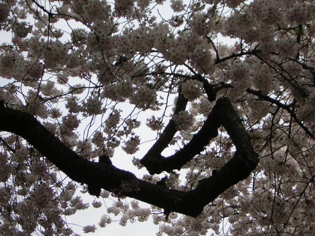 DSCN3039.jpg