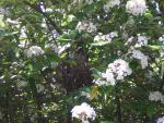 DSCN1448.jpg
