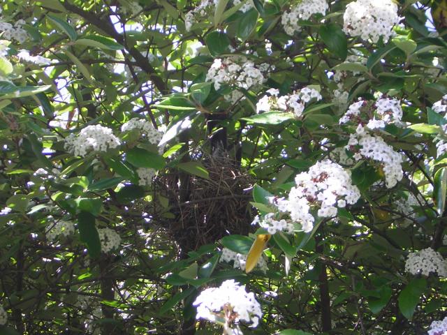 DSCN1448.jpg