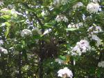 DSCN1449.jpg