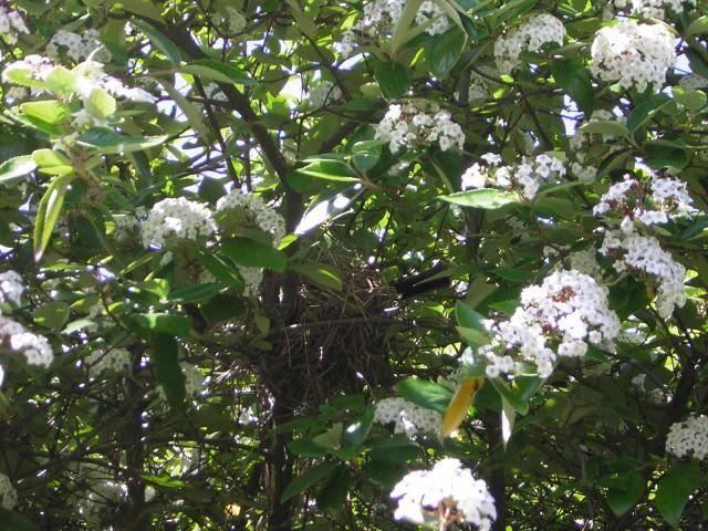 DSCN1449.jpg