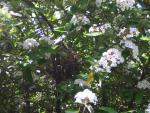 DSCN1450.jpg