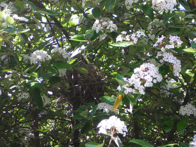 DSCN1450.jpg