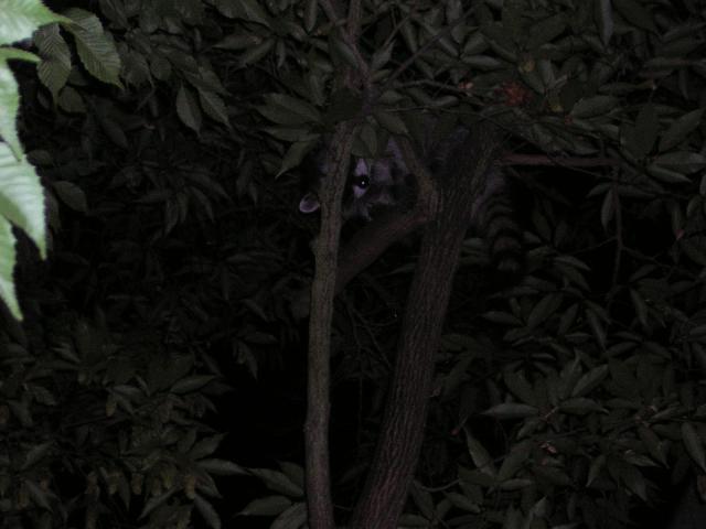 DSCN2804.jpg