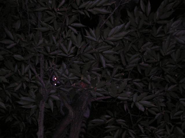 DSCN2806.jpg