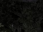 DSCN2807.jpg