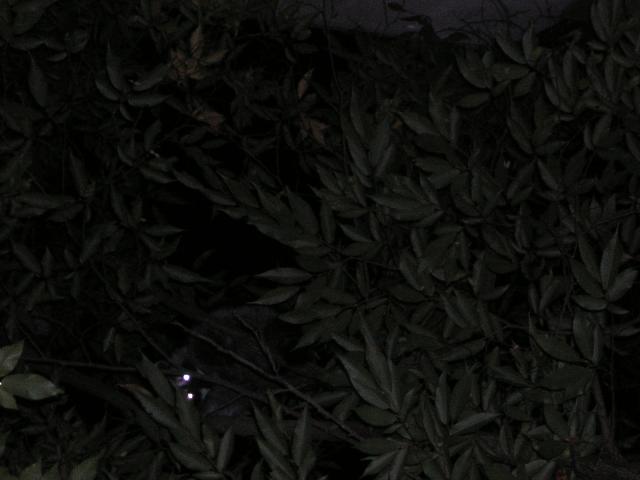 DSCN2807.jpg