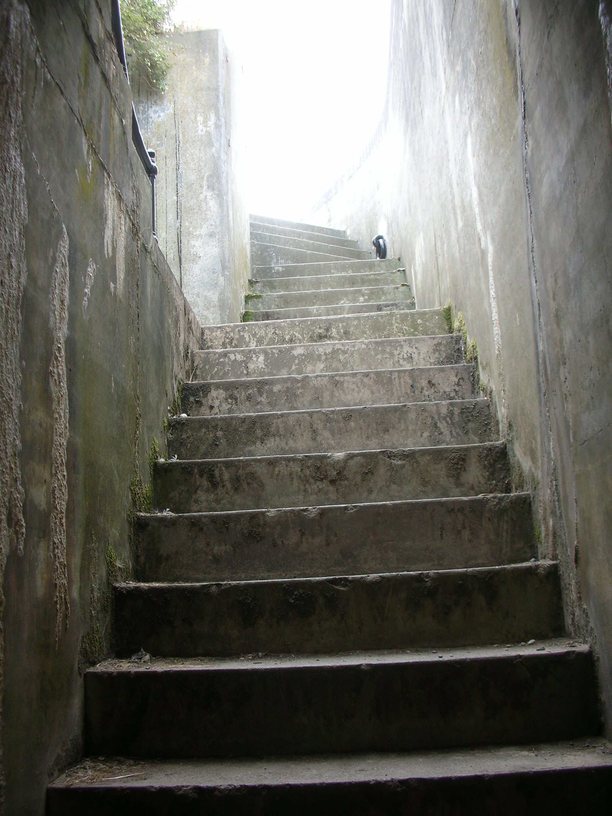 DSCN3767.jpg