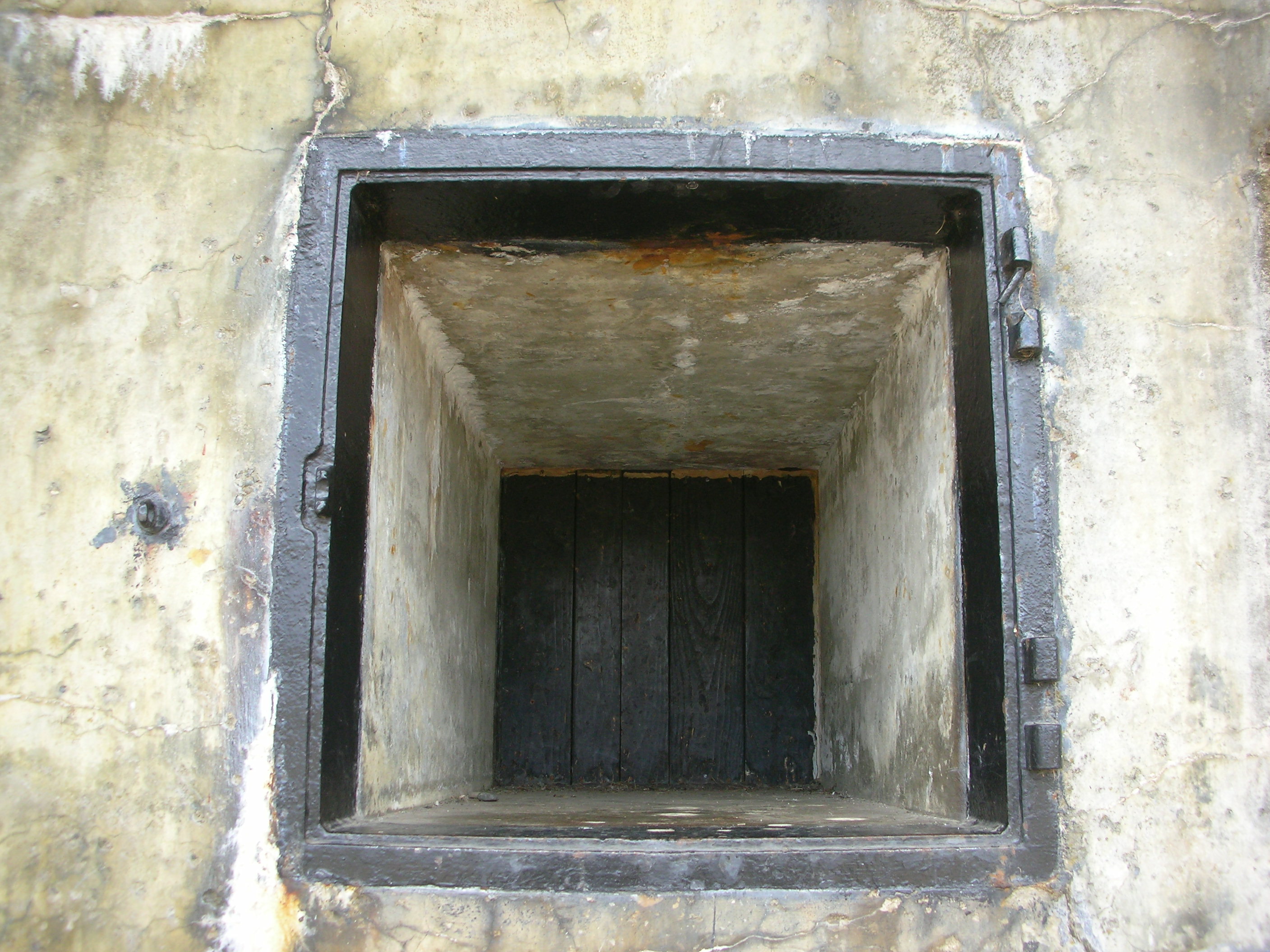 DSCN3769.jpg