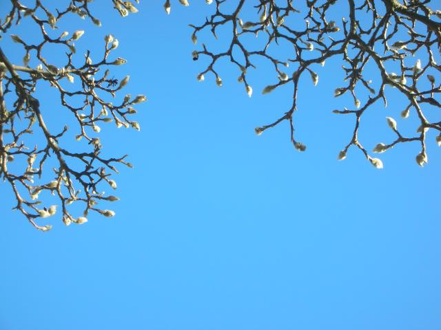 DSCN4467.jpg