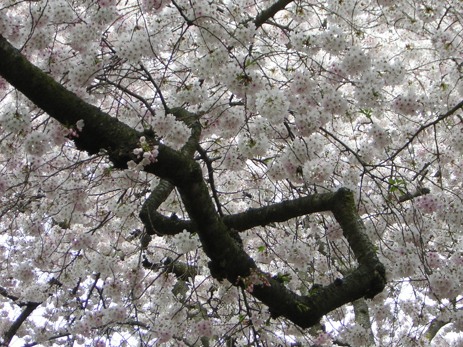 DSCN3038.jpg