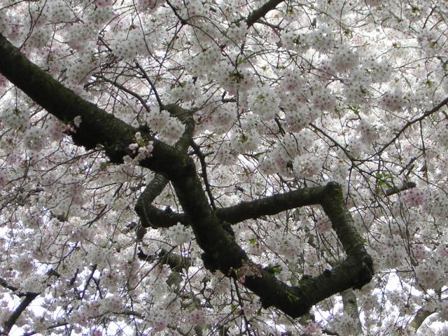 DSCN3038.jpg