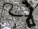 DSCN3040.jpg
