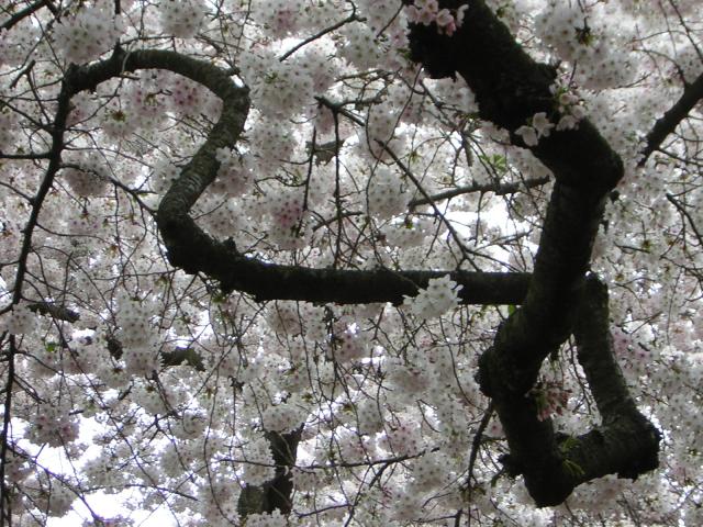DSCN3040.jpg