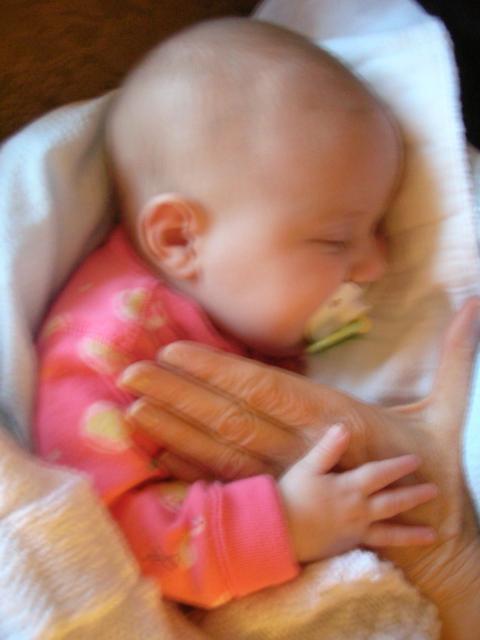 DSCN4662.JPG