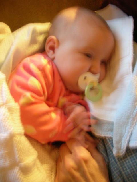 DSCN4664.JPG