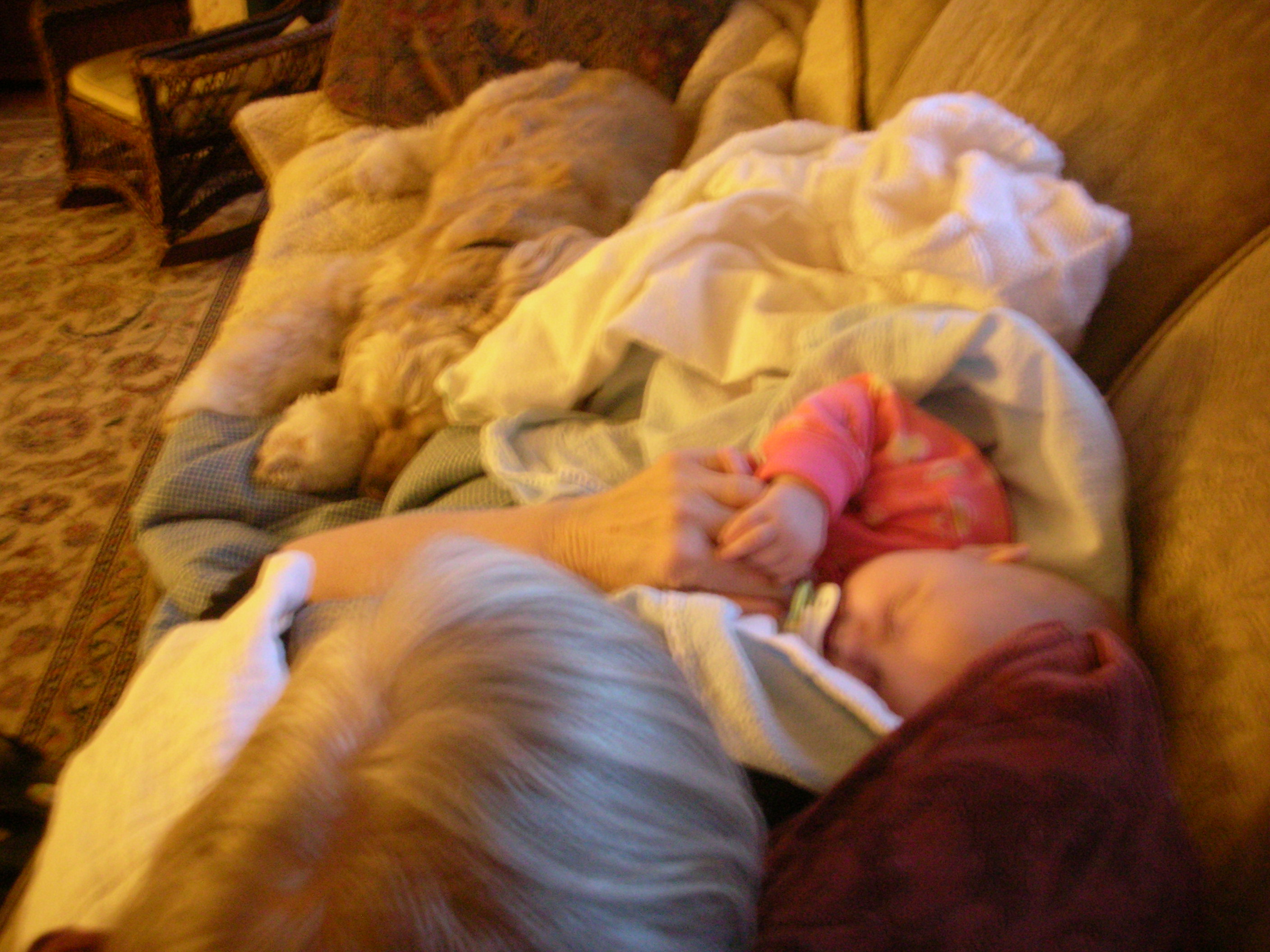 DSCN4672.JPG