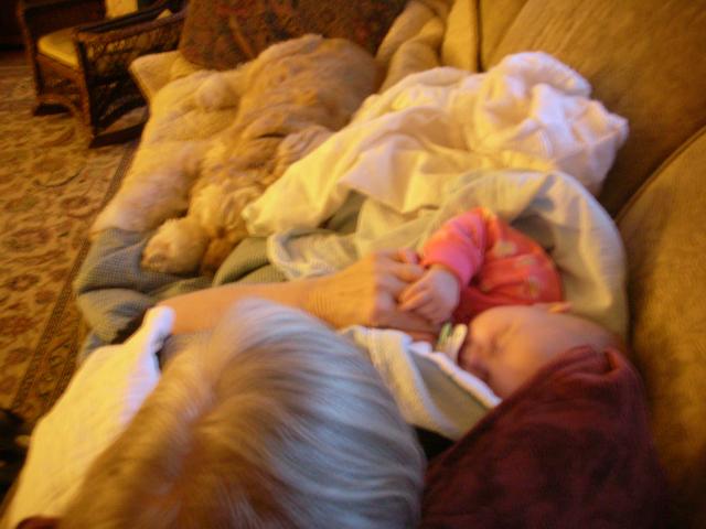 DSCN4672.JPG