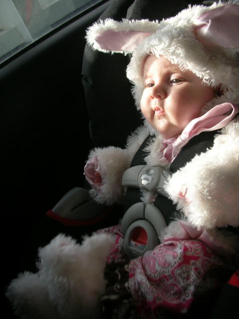 DSCN4677.JPG