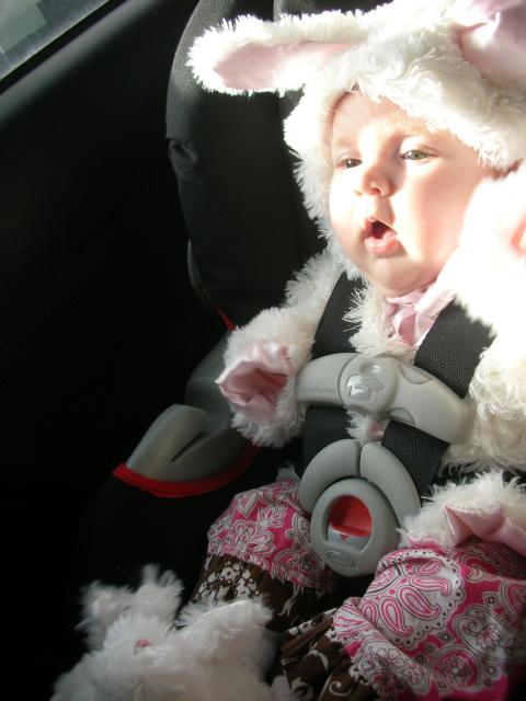 DSCN4678.JPG
