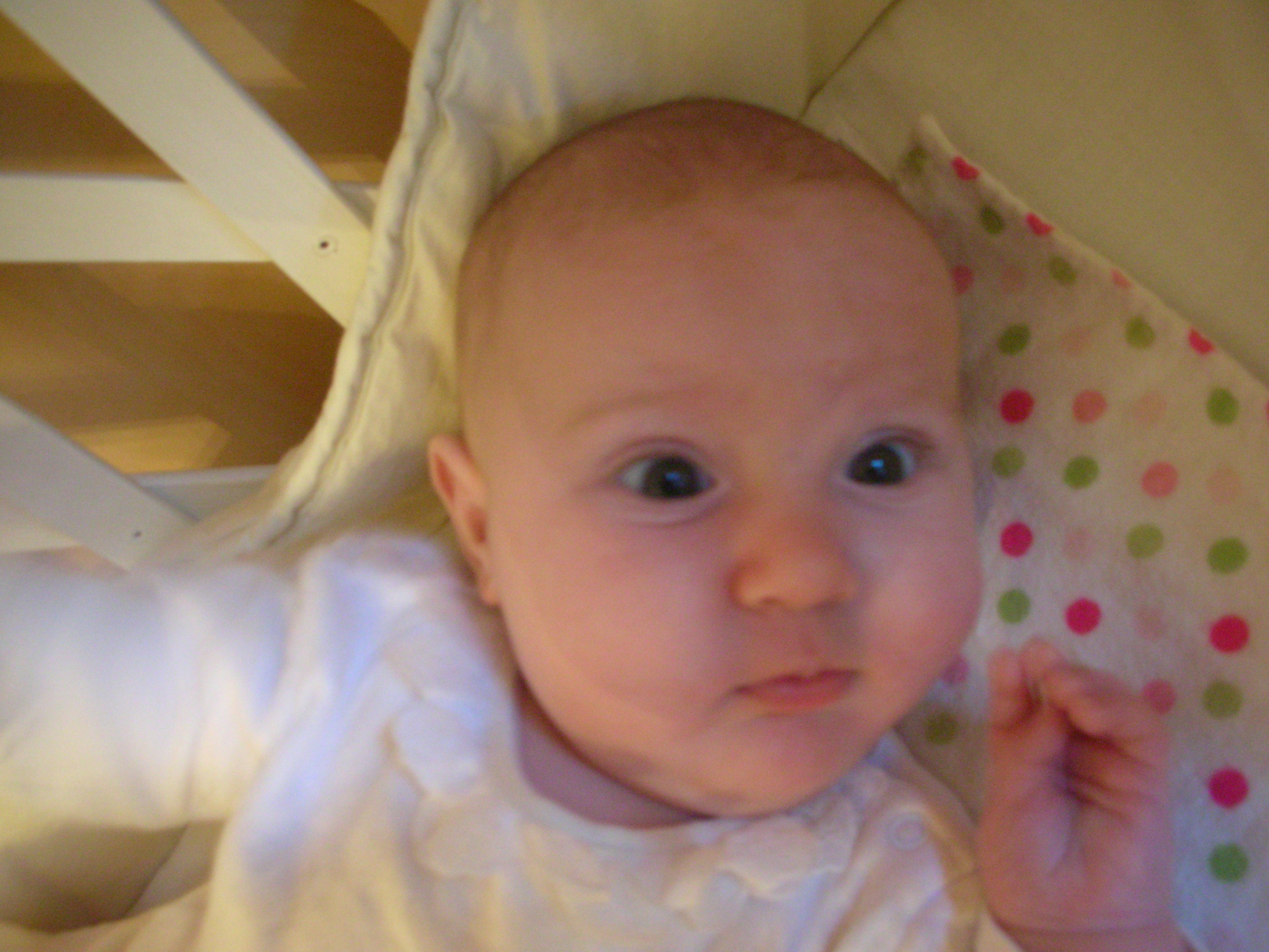 DSCN4686.JPG
