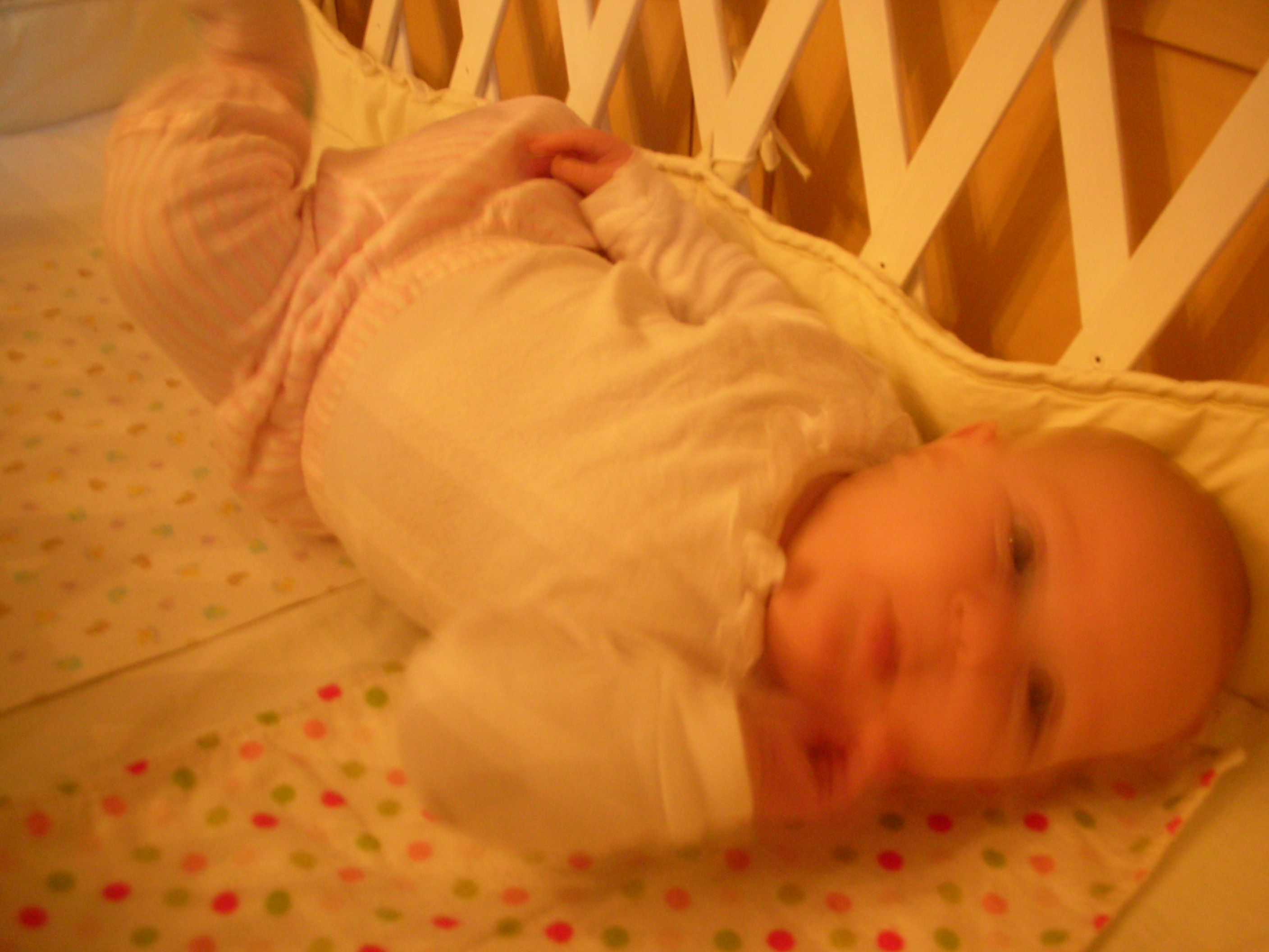 DSCN4687.JPG