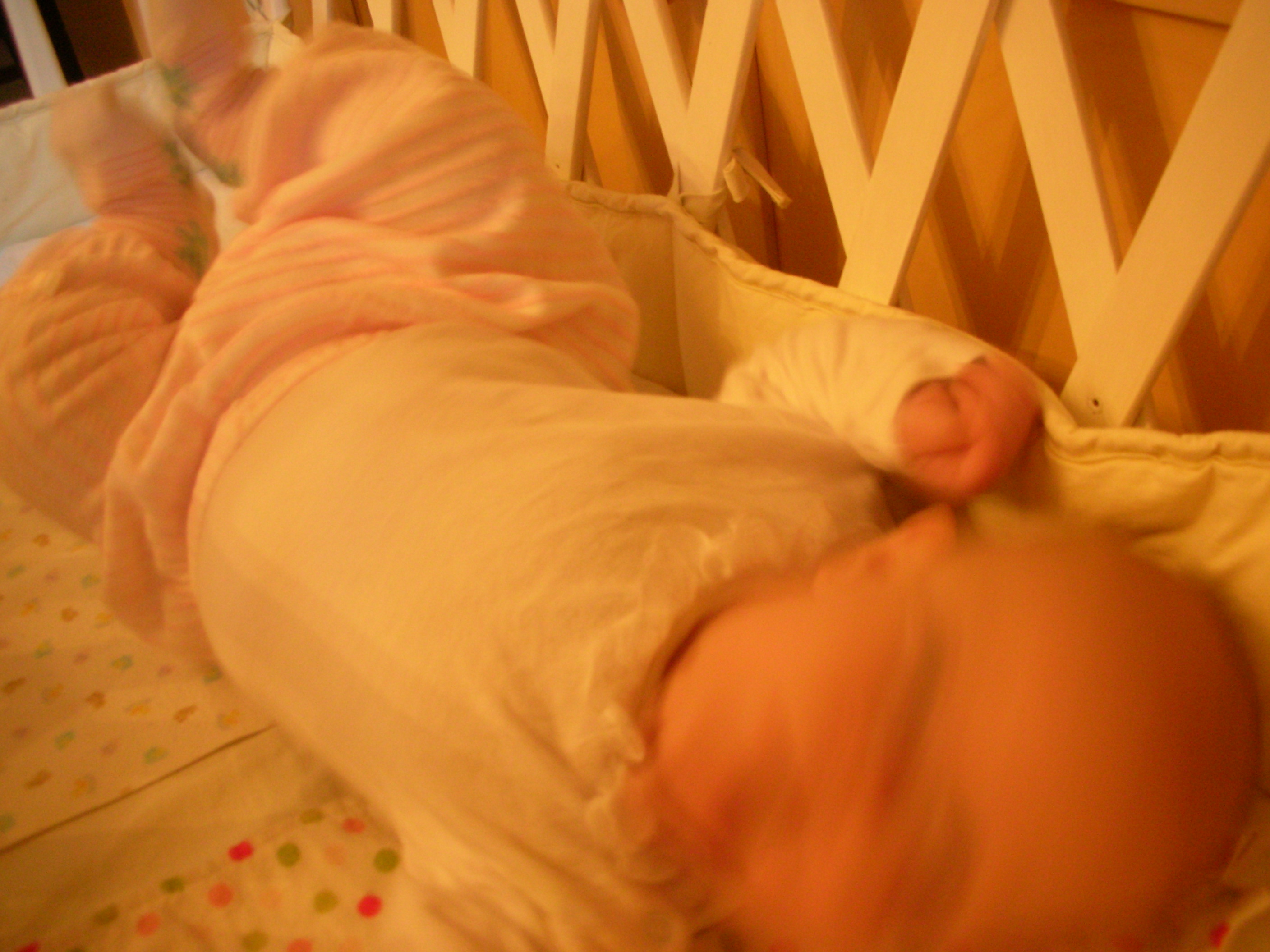 DSCN4689.JPG