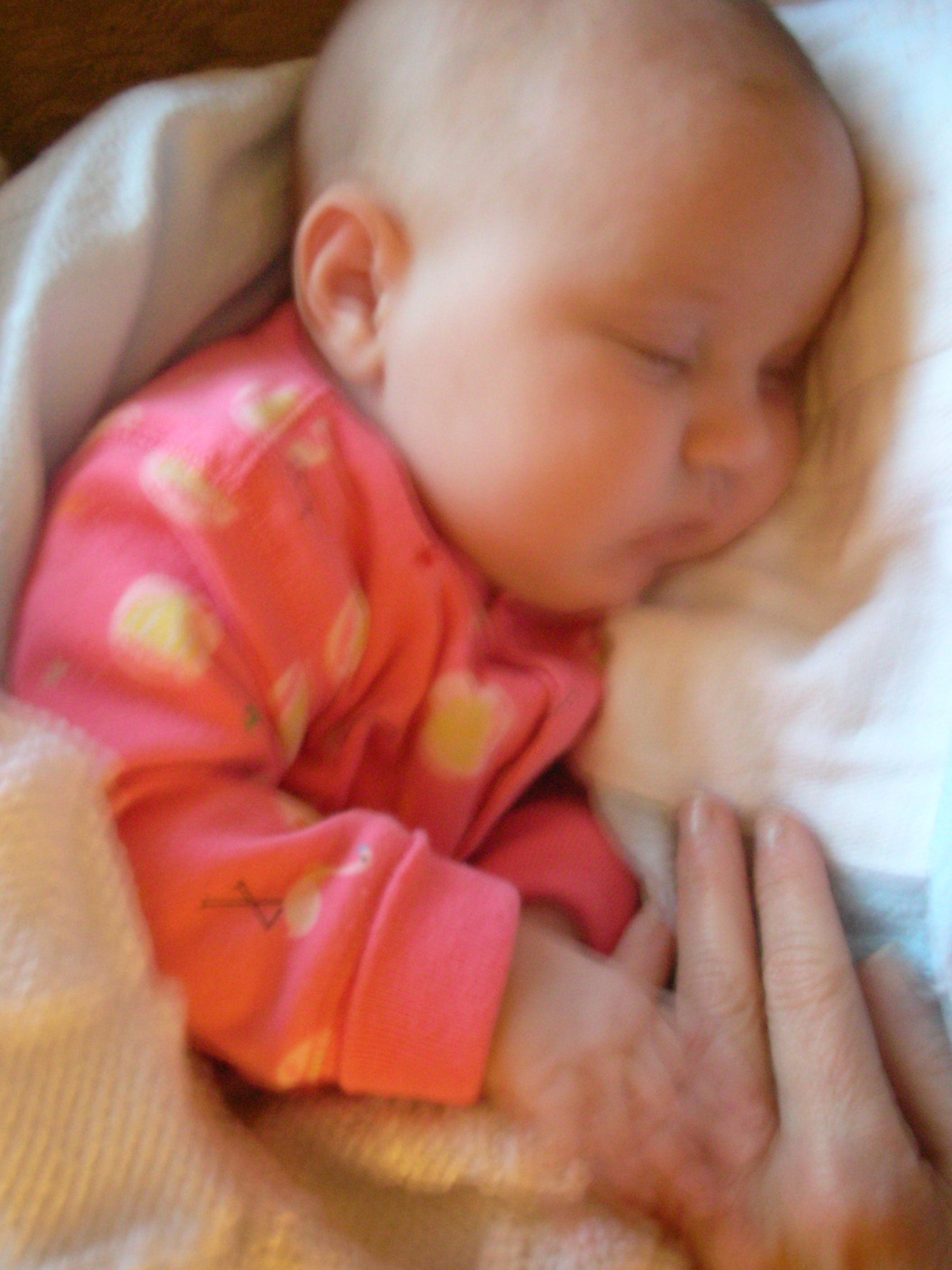 DSCN4663.JPG