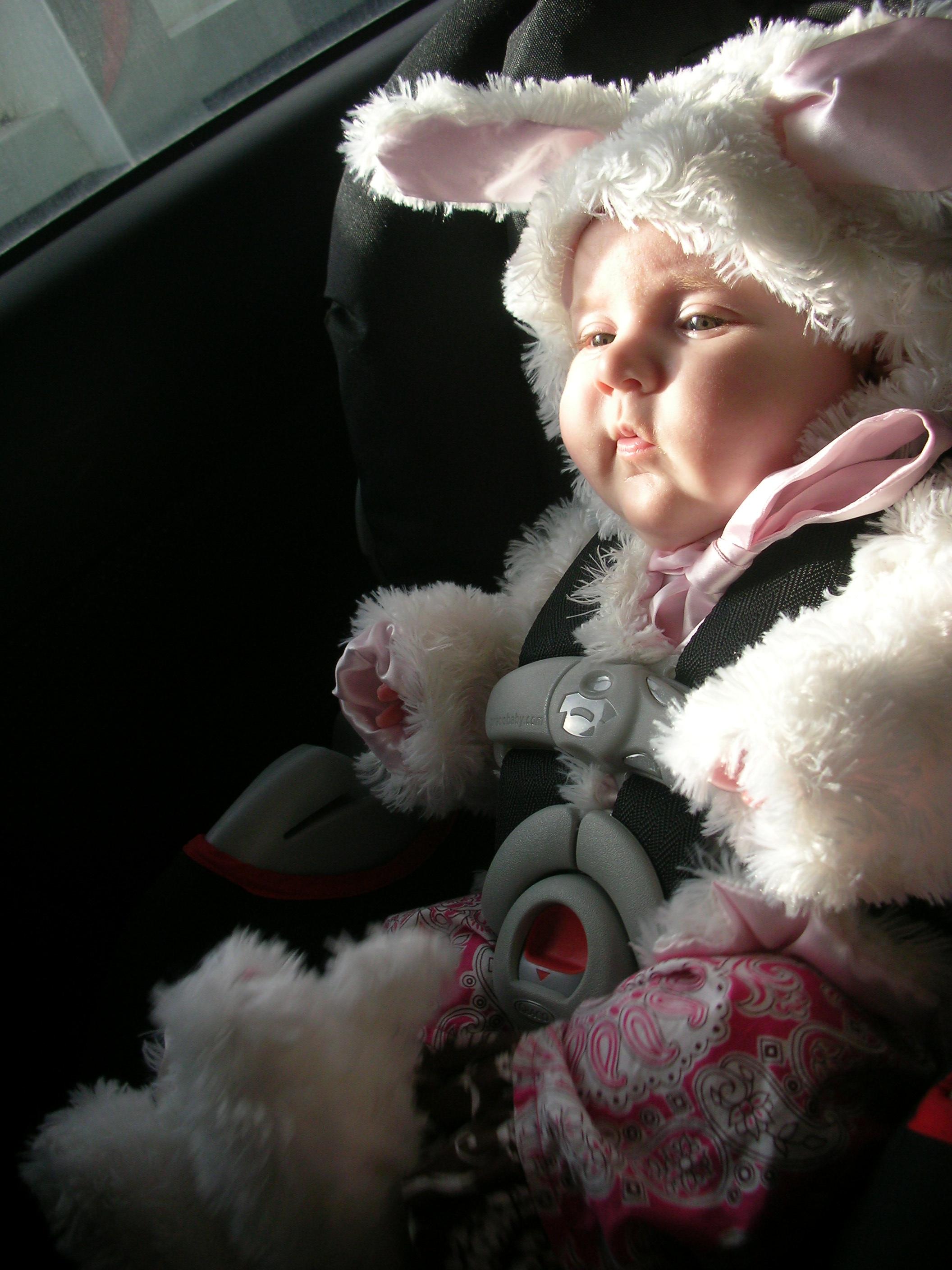 DSCN4677.JPG