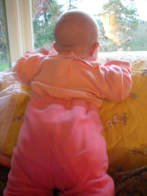 DSCN4713.JPG