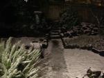 3/1 Snow!