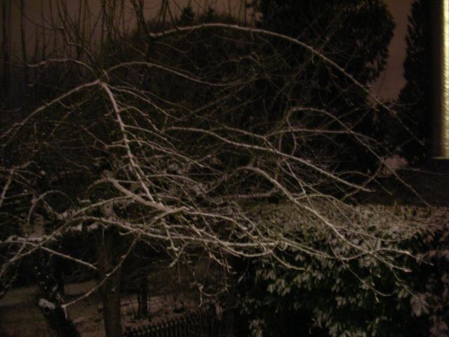 3/1 Snow!