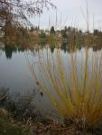 Green Lake