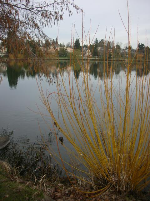 Green Lake