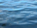 DSCN3771.jpg