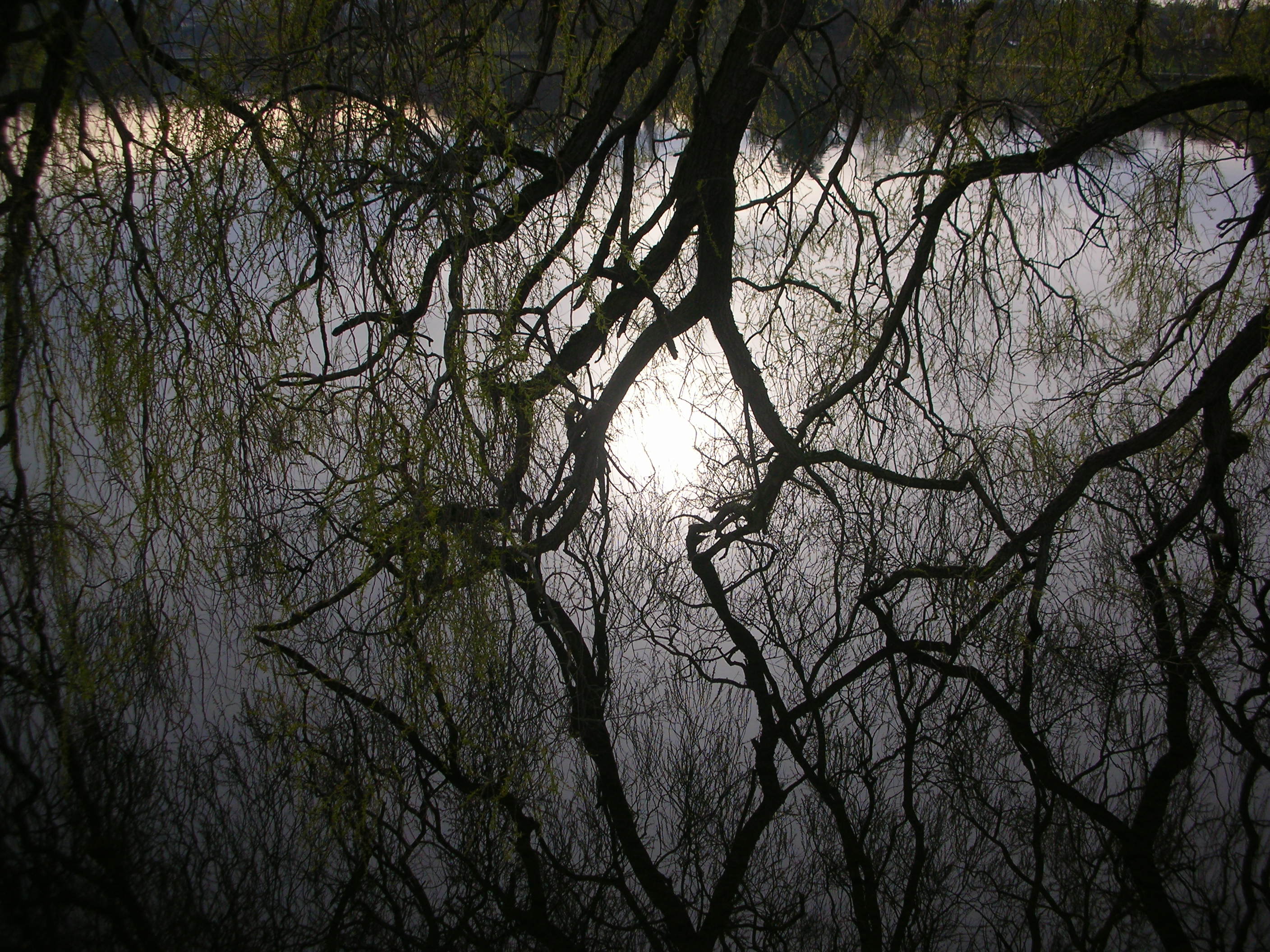 DSCN4732.JPG