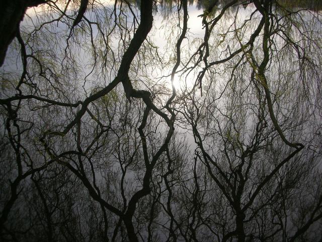 DSCN4731.JPG