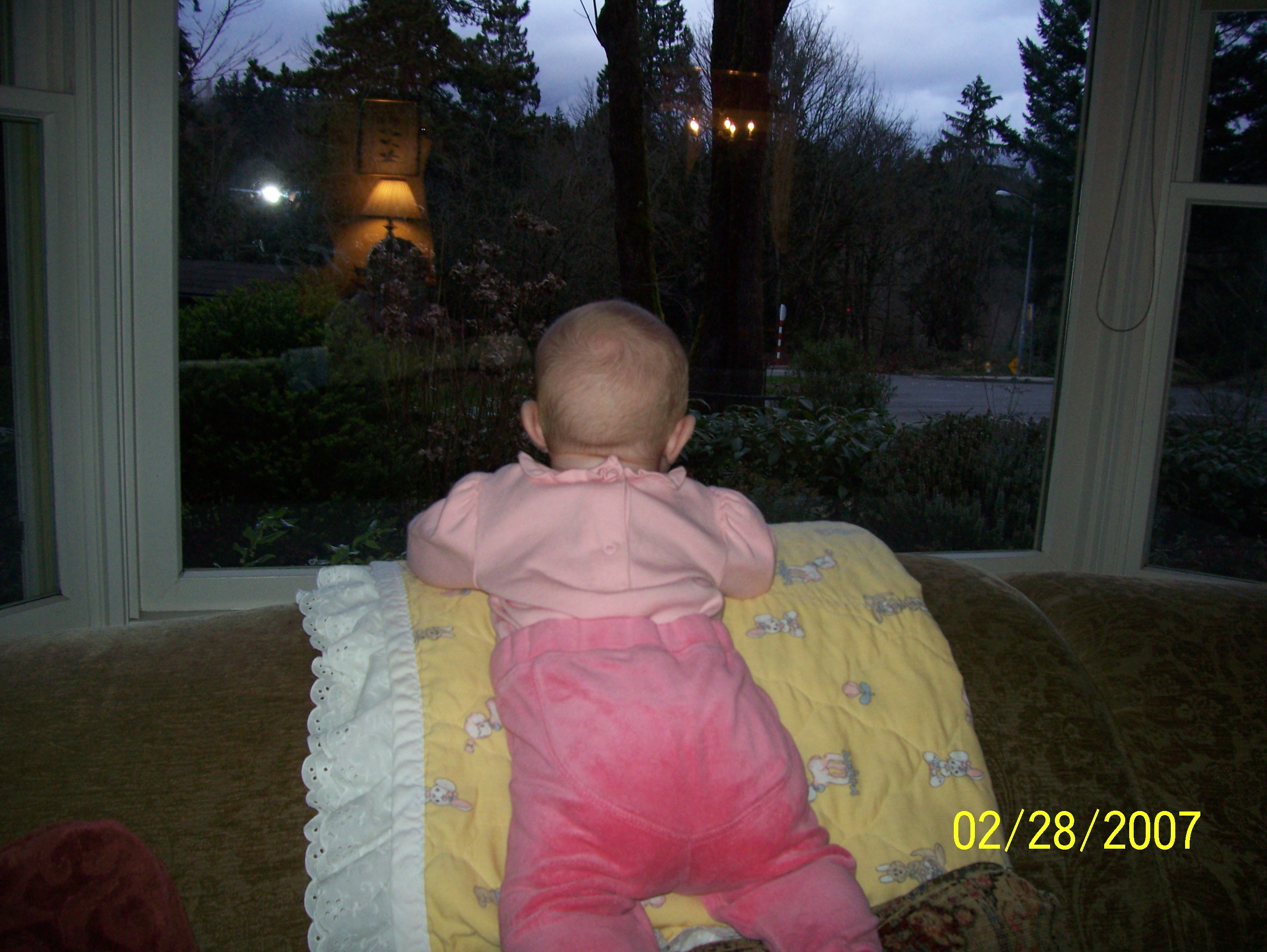 100_0687.jpg