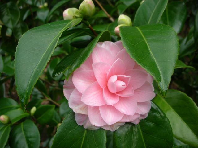 DSCN4762.JPG