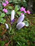 DSCN4766.JPG