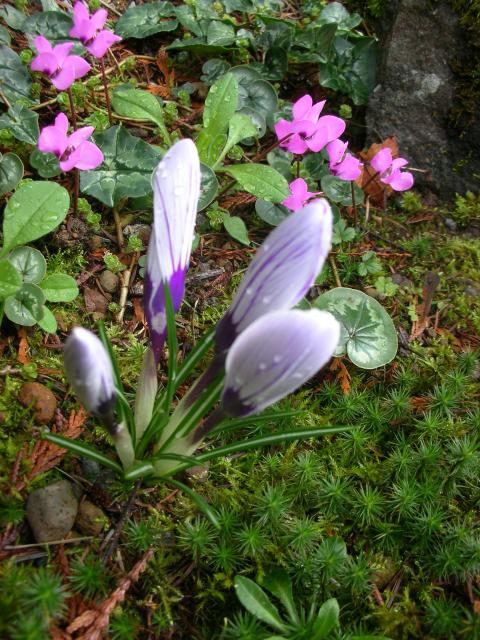 DSCN4766.JPG
