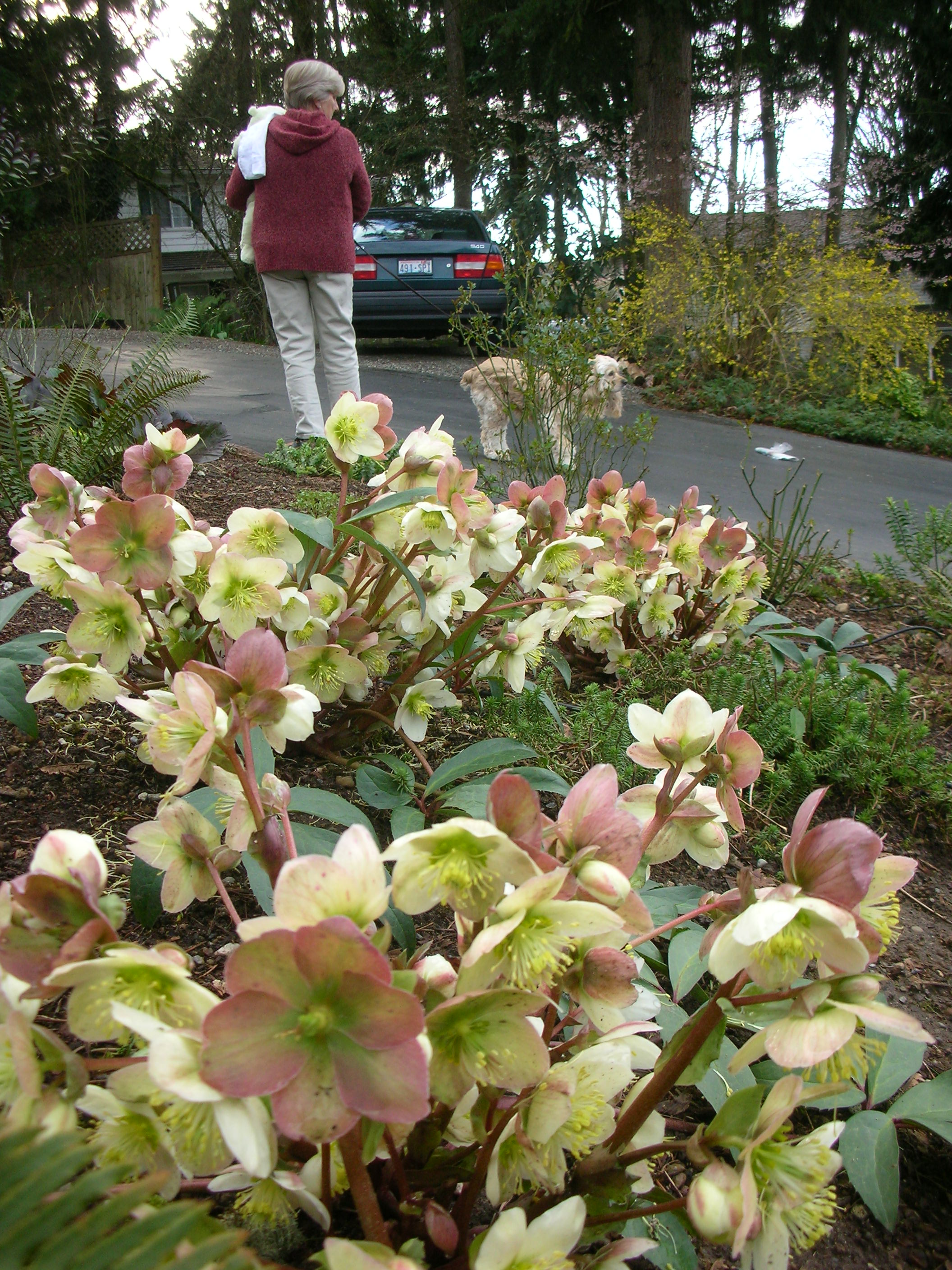 DSCN4768.JPG